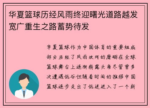 华夏篮球历经风雨终迎曙光道路越发宽广重生之路蓄势待发
