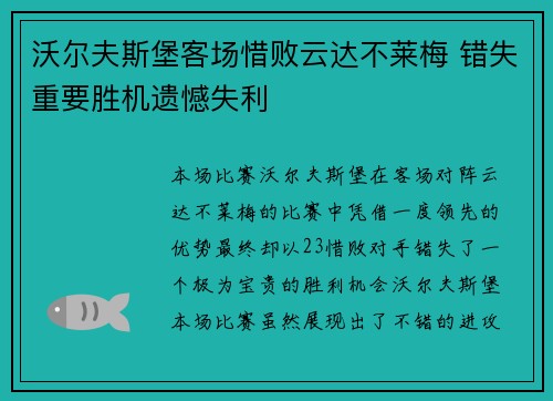 沃尔夫斯堡客场惜败云达不莱梅 错失重要胜机遗憾失利